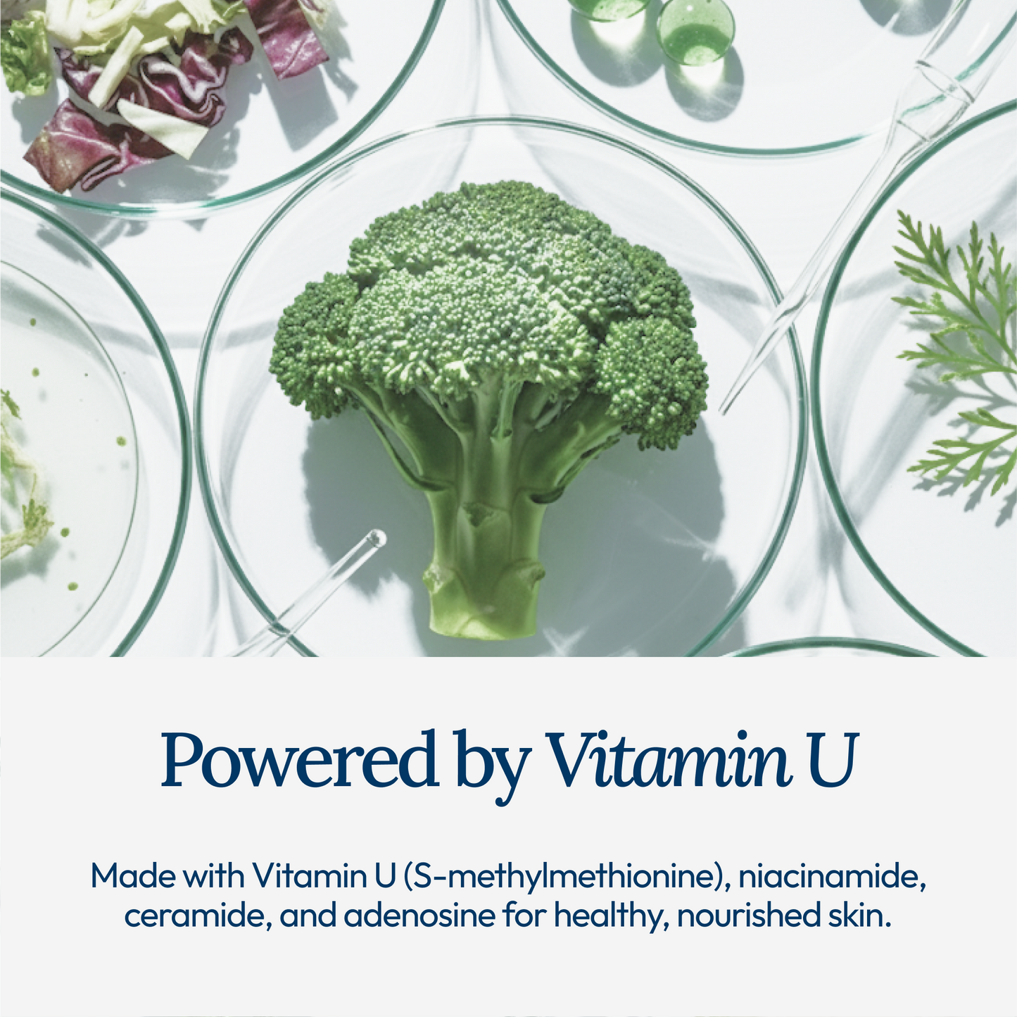 CU: Vitamin U Moisturizing Cream